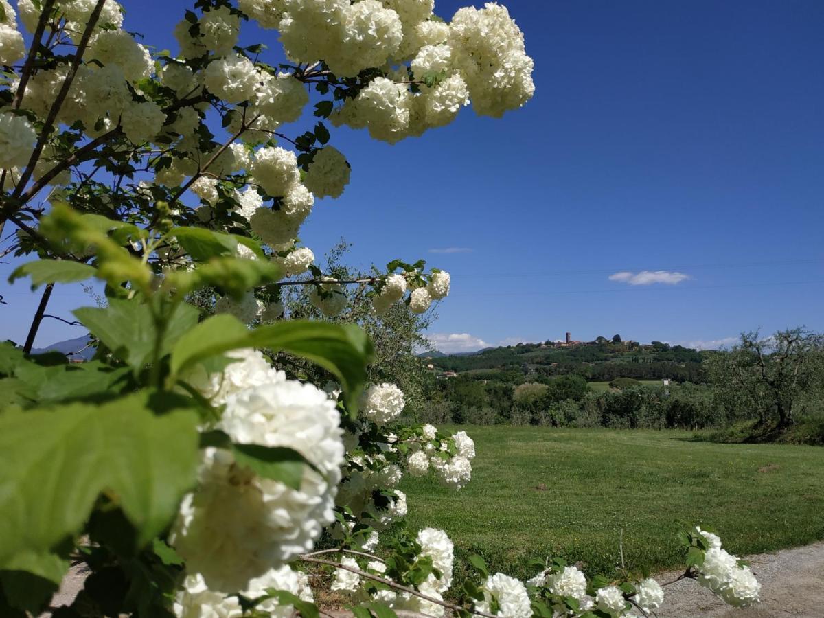 Bed and breakfast La Casetta *