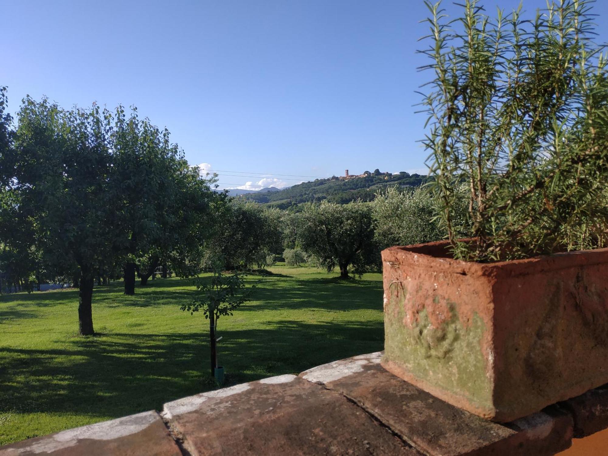 Bed and breakfast La Casetta Montecarlo